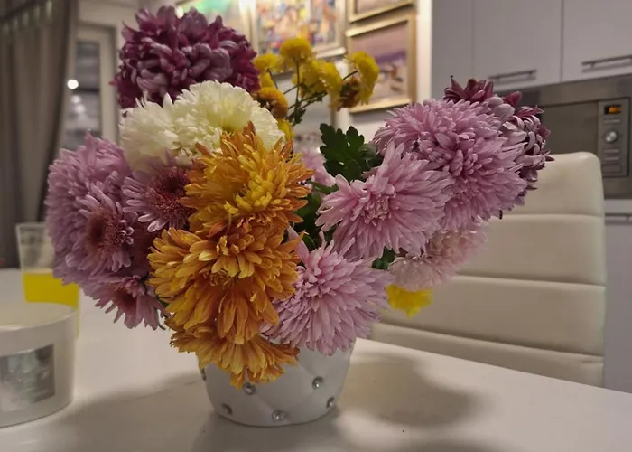 Apartamento Park парк *